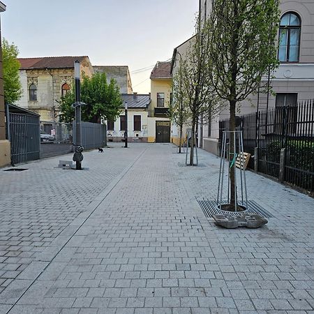 Muzeului Studio Kaloşvar Dış mekan fotoğraf