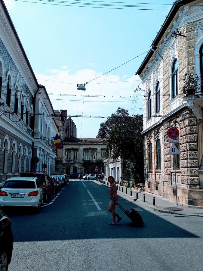 Muzeului Studio Kaloşvar Dış mekan fotoğraf